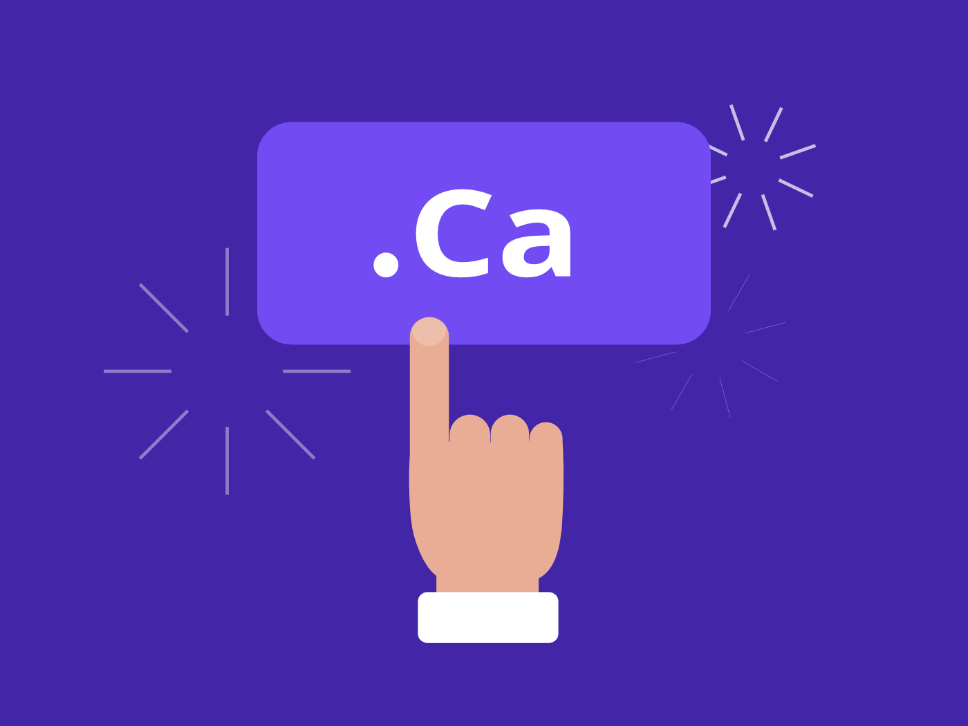 Domain Registrations